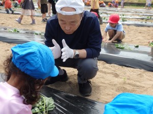 さつまいも苗植え