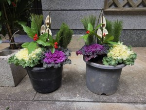 あけましておめでとうございます